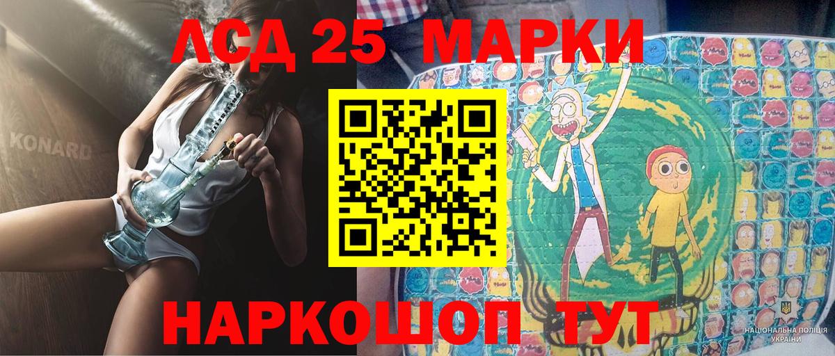 Галлюциногенные грибы Гусиноозёрск