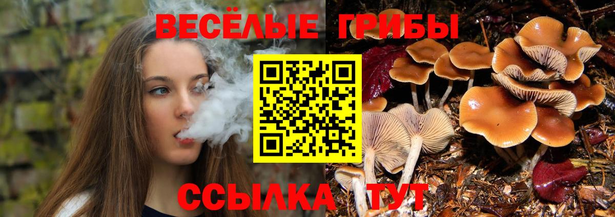 Галлюциногенные грибы MAGIC MUSHROOMS Гусиноозёрск