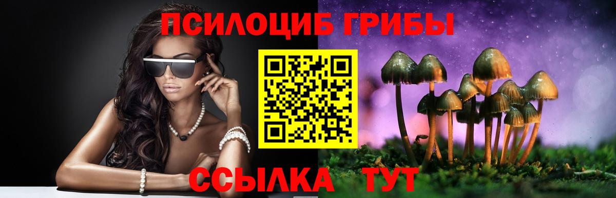 где можно купить наркотик  Вход с VPN  Гусиноозёрск  Псилоцибиновые грибы Psilocybe 